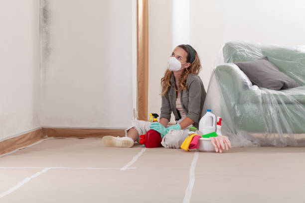 Reliable Mold Remediation contractor in Hillsboro, TX by WQB Mold Removal